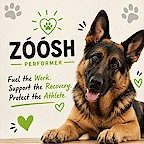 Zoosh Performer Dog Food